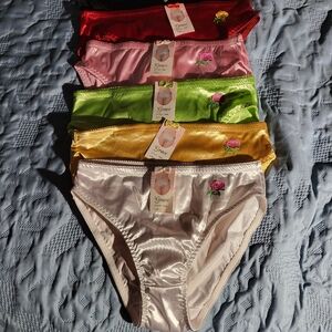 NWT GRACE Wetlook Sissy Embroidered Rose Liquid SATIN 6 PC Bikini Panties #148 L